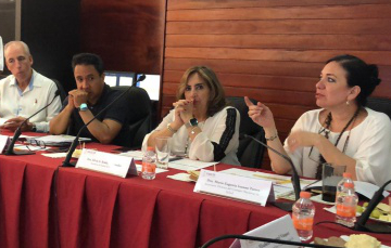 I Sesión Ordinaria del Consejo Nacional de Salud